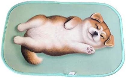 Magik 3D Akita Dog Non-Slip Doormat with Pattern