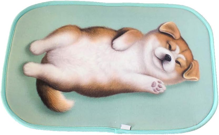 Magik 3D Akita Dog Non-Slip Doormat with Pattern