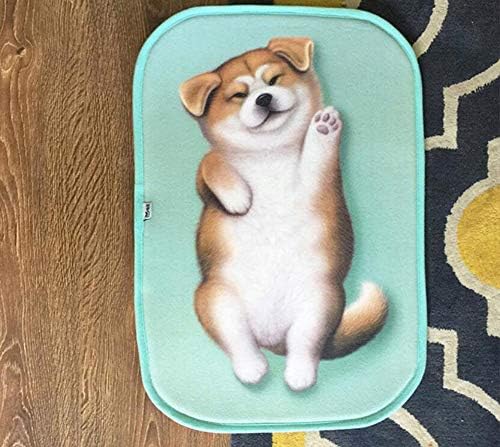 Magik 3D Akita Dog Non-Slip Doormat with Pattern
