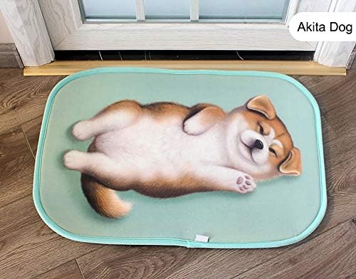 Magik 3D Akita Dog Non-Slip Doormat with Pattern