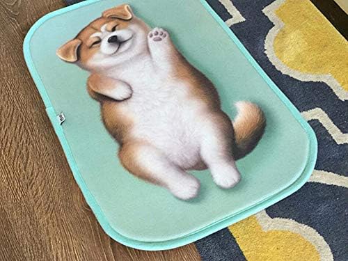 Magik 3D Akita Dog Non-Slip Doormat with Pattern