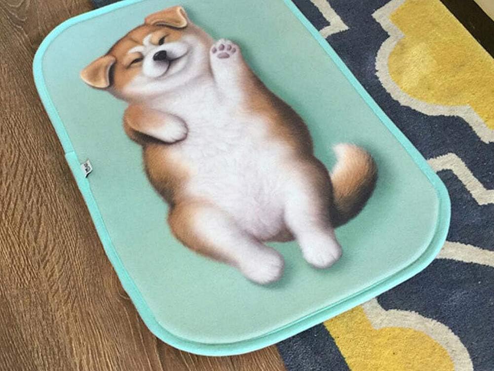 Magik 3D Akita Dog Non-Slip Doormat with Pattern