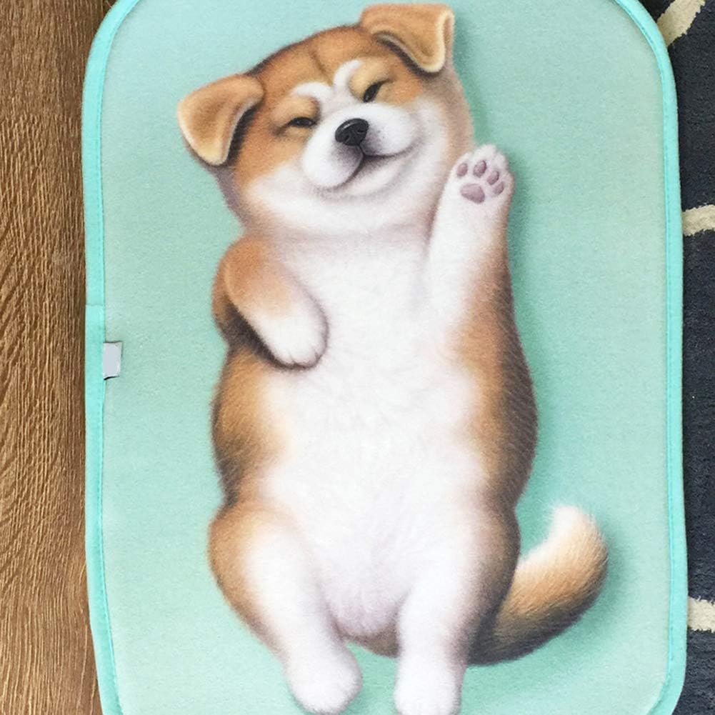 Magik 3D Akita Dog Non-Slip Doormat with Pattern