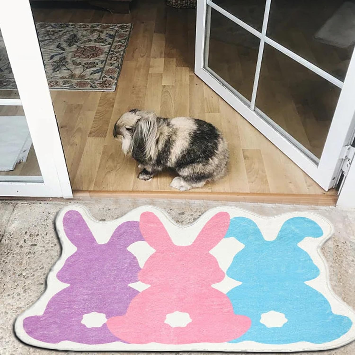 YIWULA Easter Bunny Rug Non Slip Washable Bath Mat